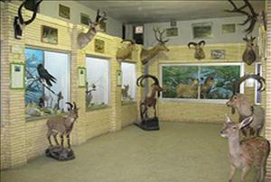 آوای ورزقان: روز طبیعت، بازدید از موزه تاریخ طبیعی آذربایجان رایگان است