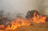 آوای ورزقان: آتش بخش وسیعی از مراتع استمال را از بین برده است/ نیرو های امدادی و بسیج در تلاش برای مهار آتش